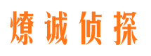 凤泉市调查公司